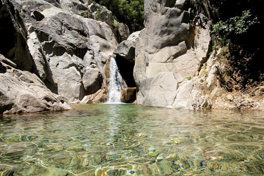 Gite Du Chalet Pietri Olivese Dış mekan fotoğraf