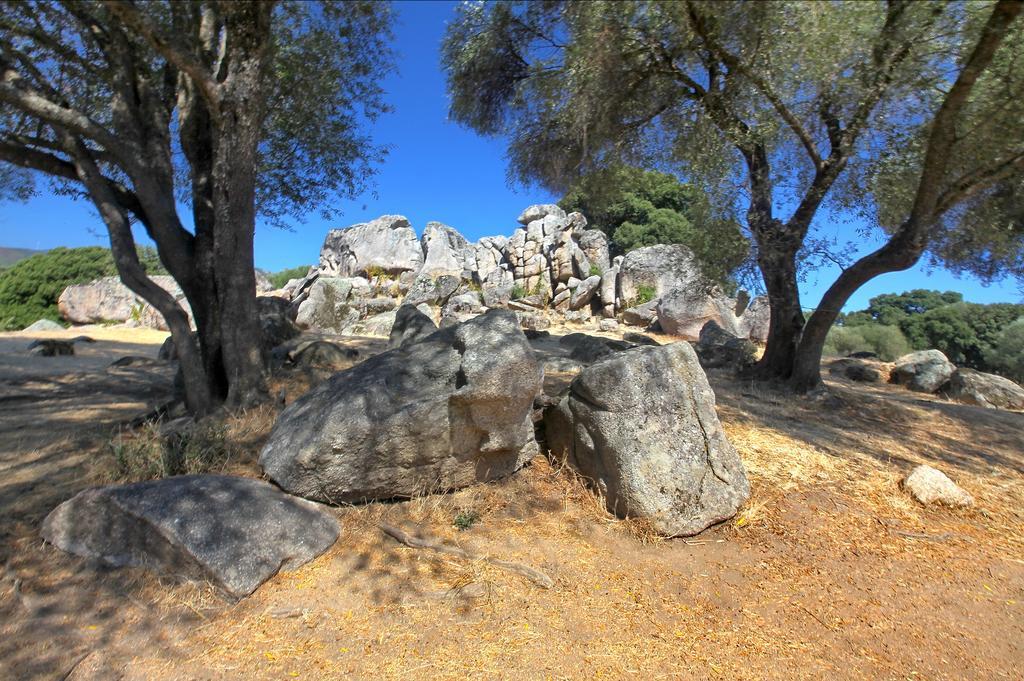 Gite Du Chalet Pietri Olivese Dış mekan fotoğraf