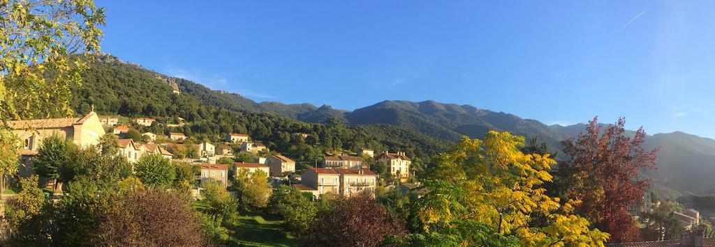 Gite Du Chalet Pietri Olivese Dış mekan fotoğraf