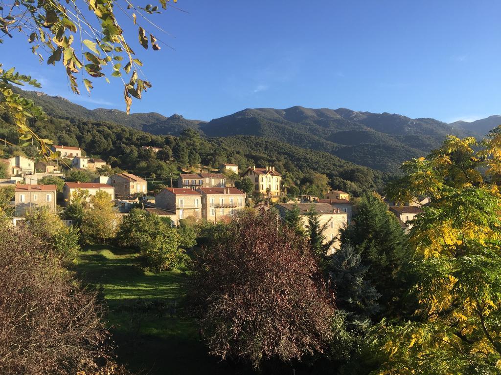 Gite Du Chalet Pietri Olivese Dış mekan fotoğraf