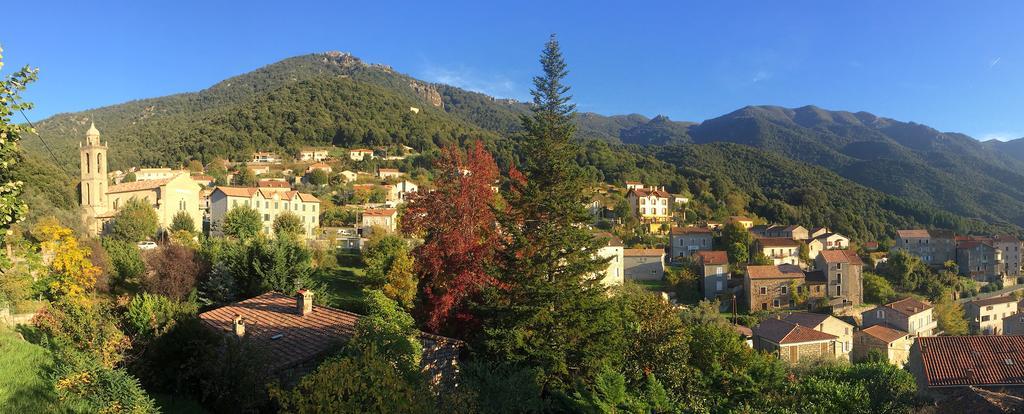 Gite Du Chalet Pietri Olivese Dış mekan fotoğraf