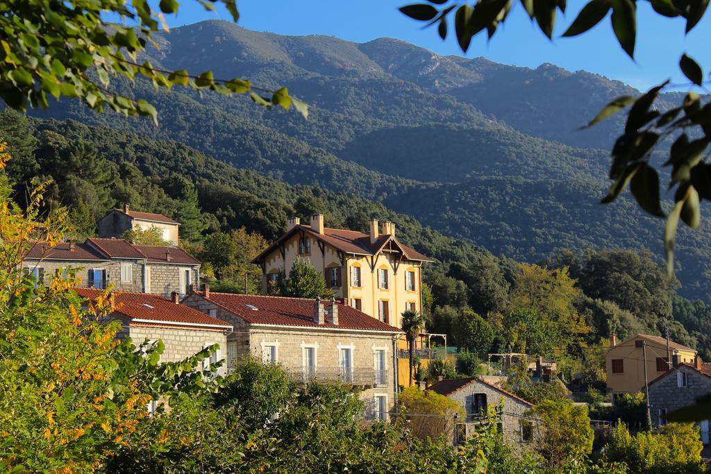 Gite Du Chalet Pietri Olivese Dış mekan fotoğraf