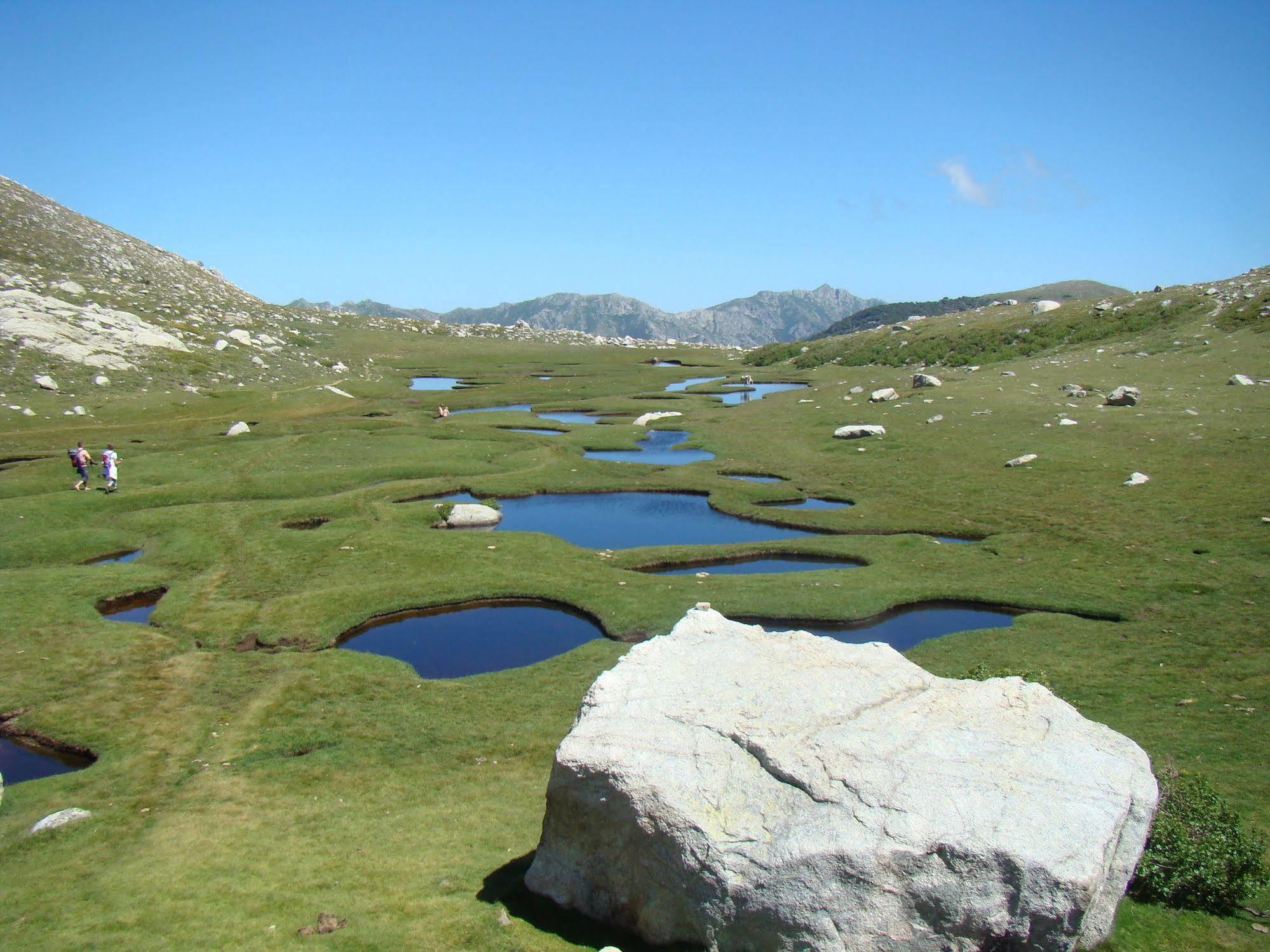 Gite Du Chalet Pietri Olivese Dış mekan fotoğraf