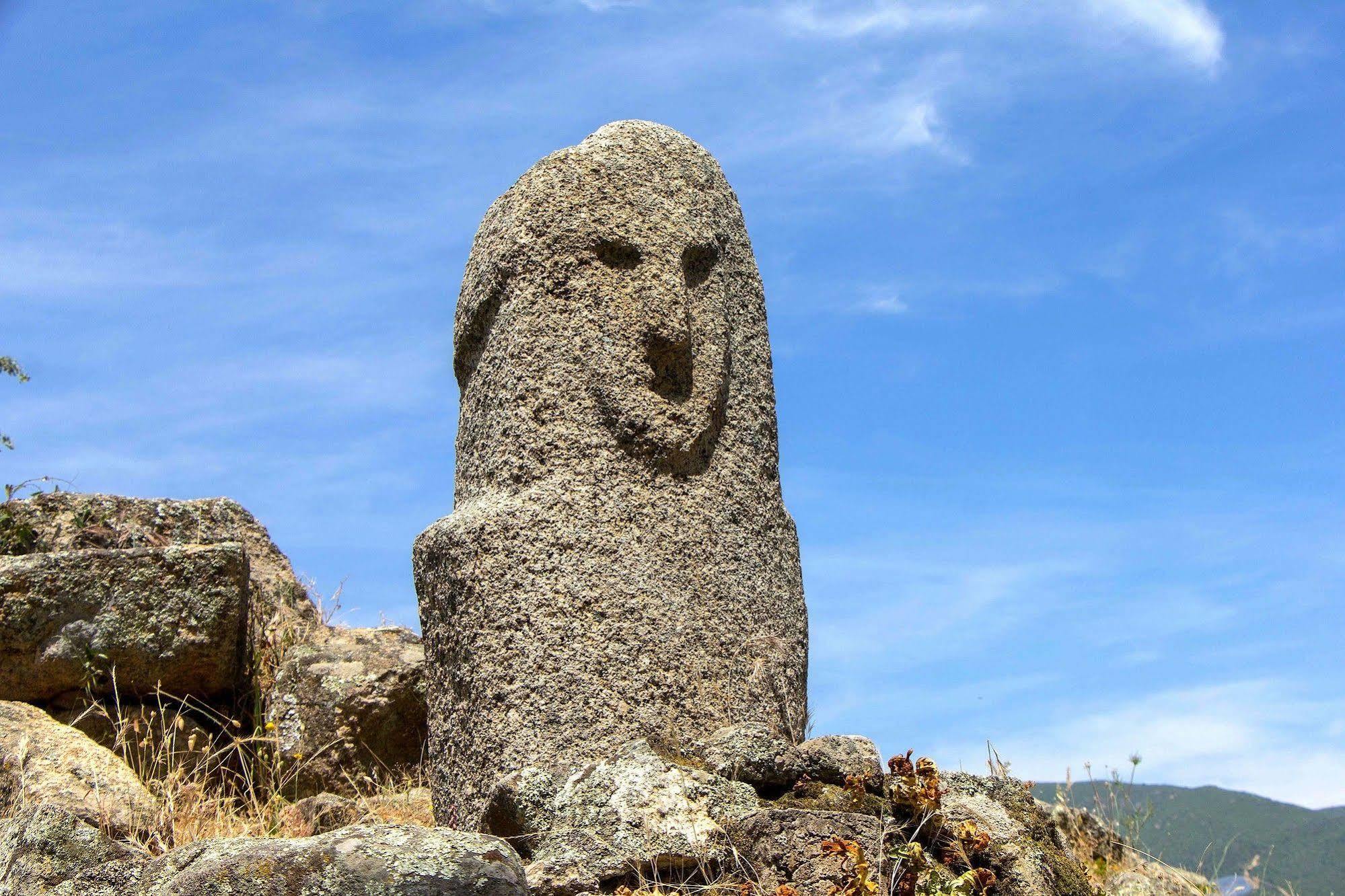 Gite Du Chalet Pietri Olivese Dış mekan fotoğraf